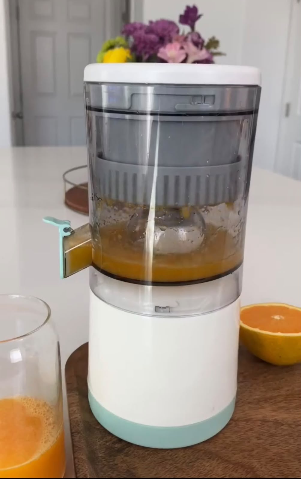 CitrusPress™ Juicer